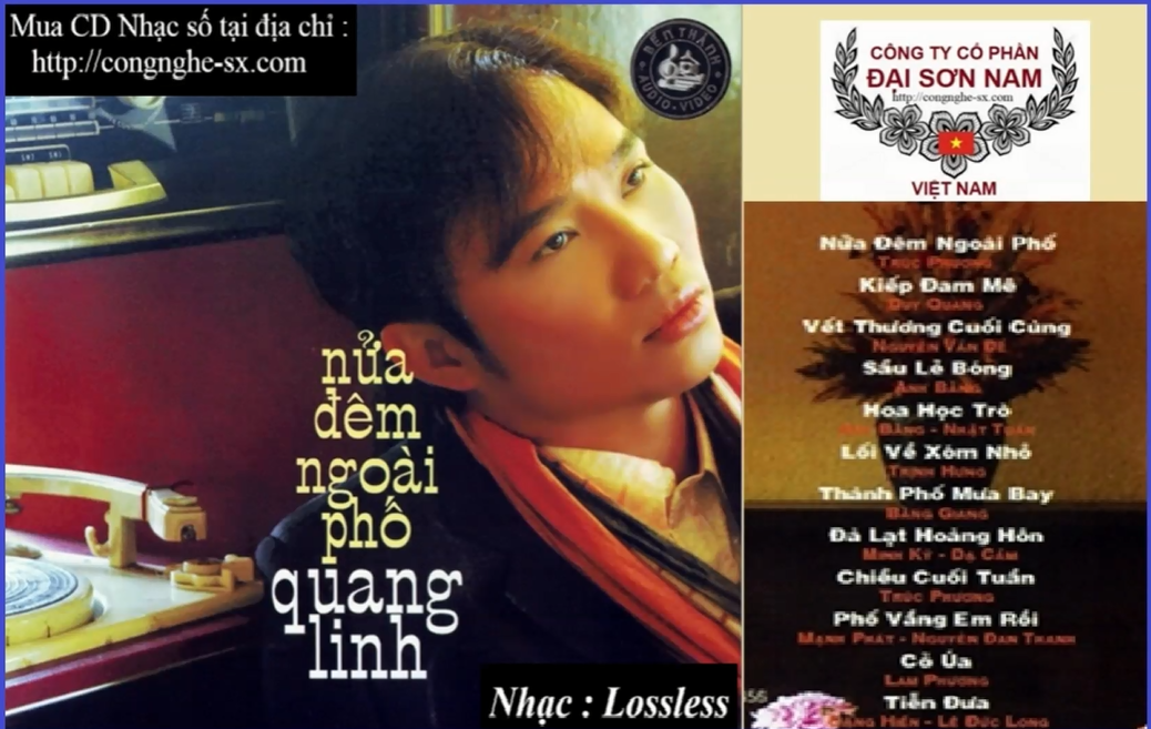 NUA DEM NGOAI PHO - QUANG LINH 9