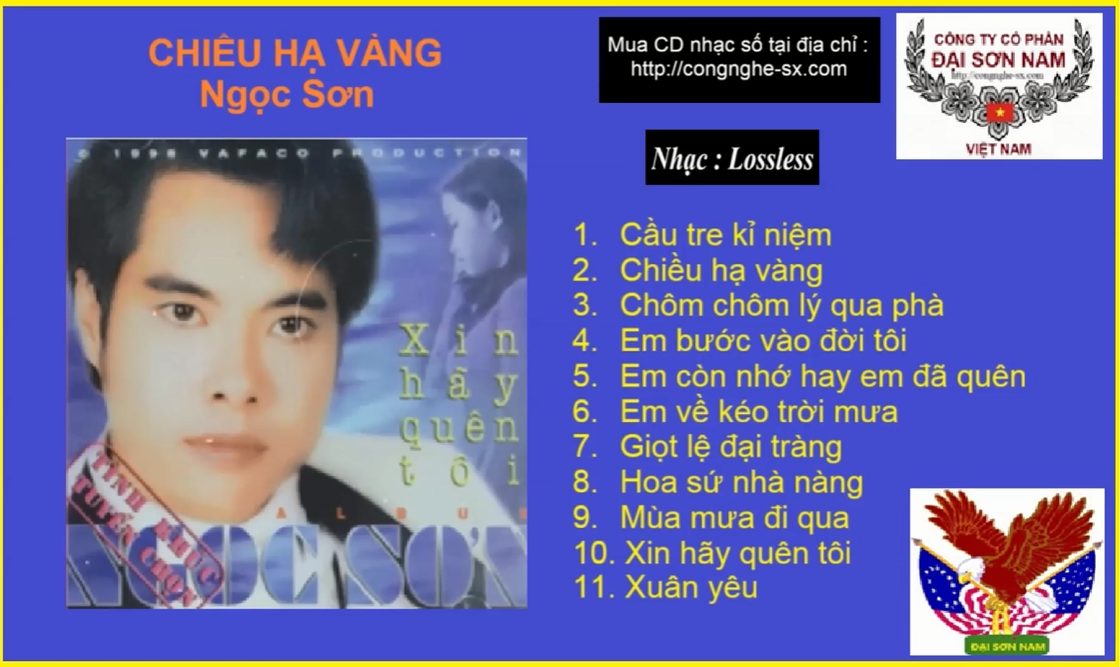 CHIEU HA VANG-NGOC SON