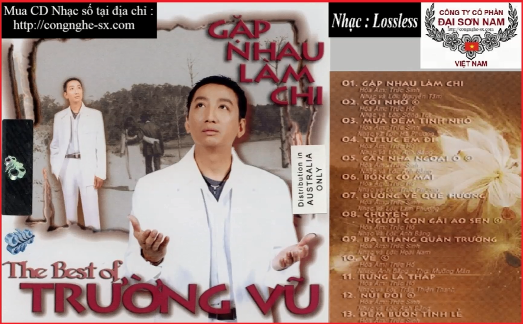 GAP NHAU LAM CHI - TRUONG VU 7