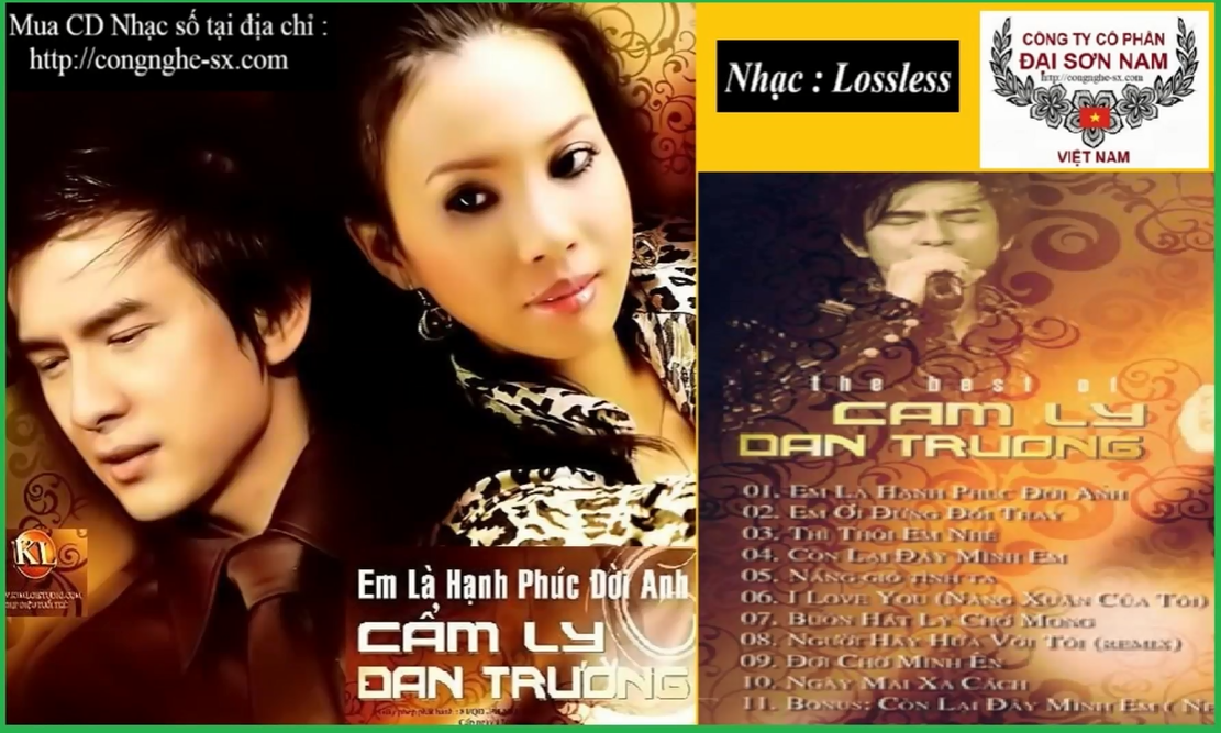 EM LA HANH PHUC DOI ANH - DAN TRUONG