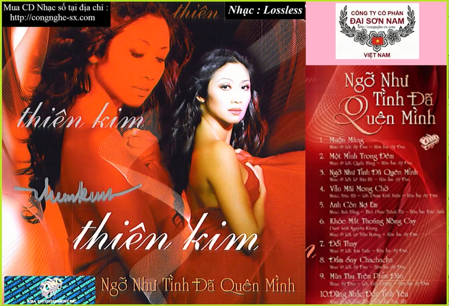 NGHO NHU TINH DA QUEN MINH - THIEN KIM