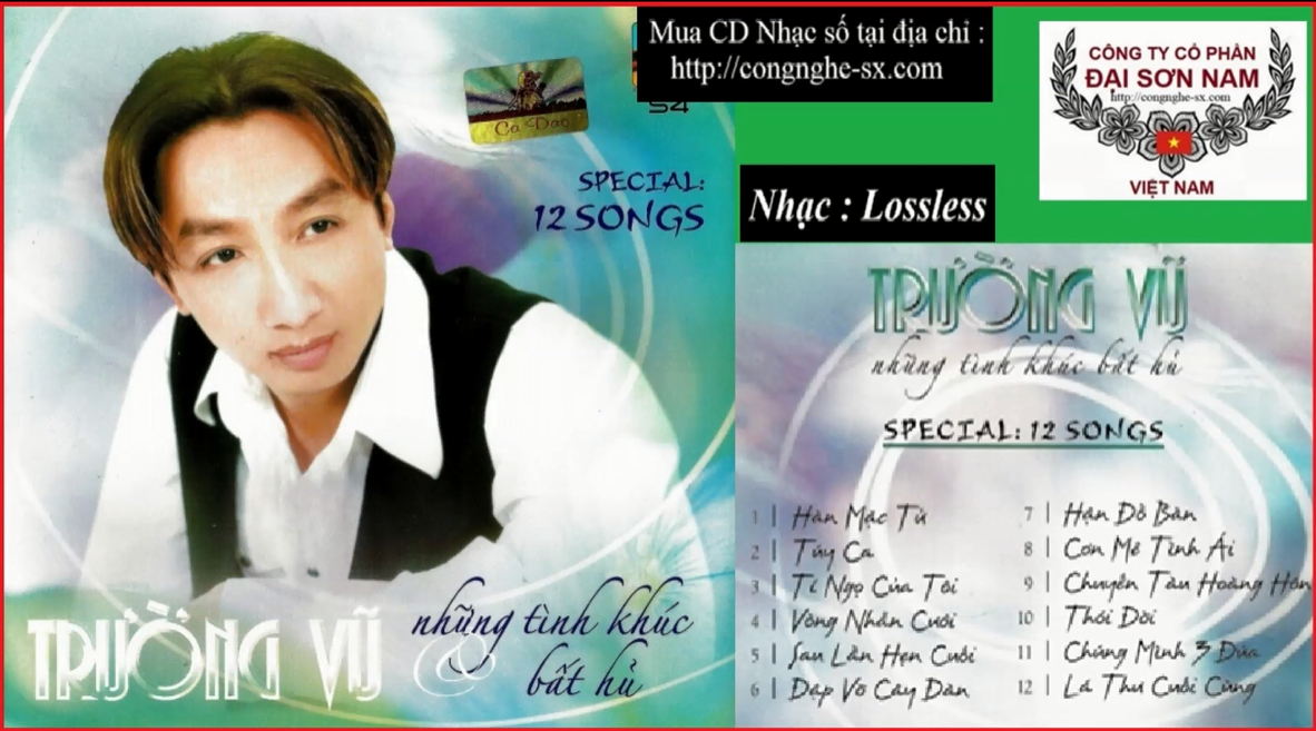 NHUNG TINH KHUC BAT HU - TRUONG VU
