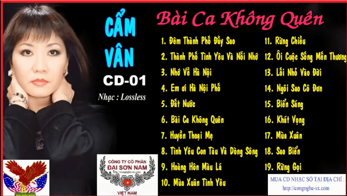 CAM VAN-CD01