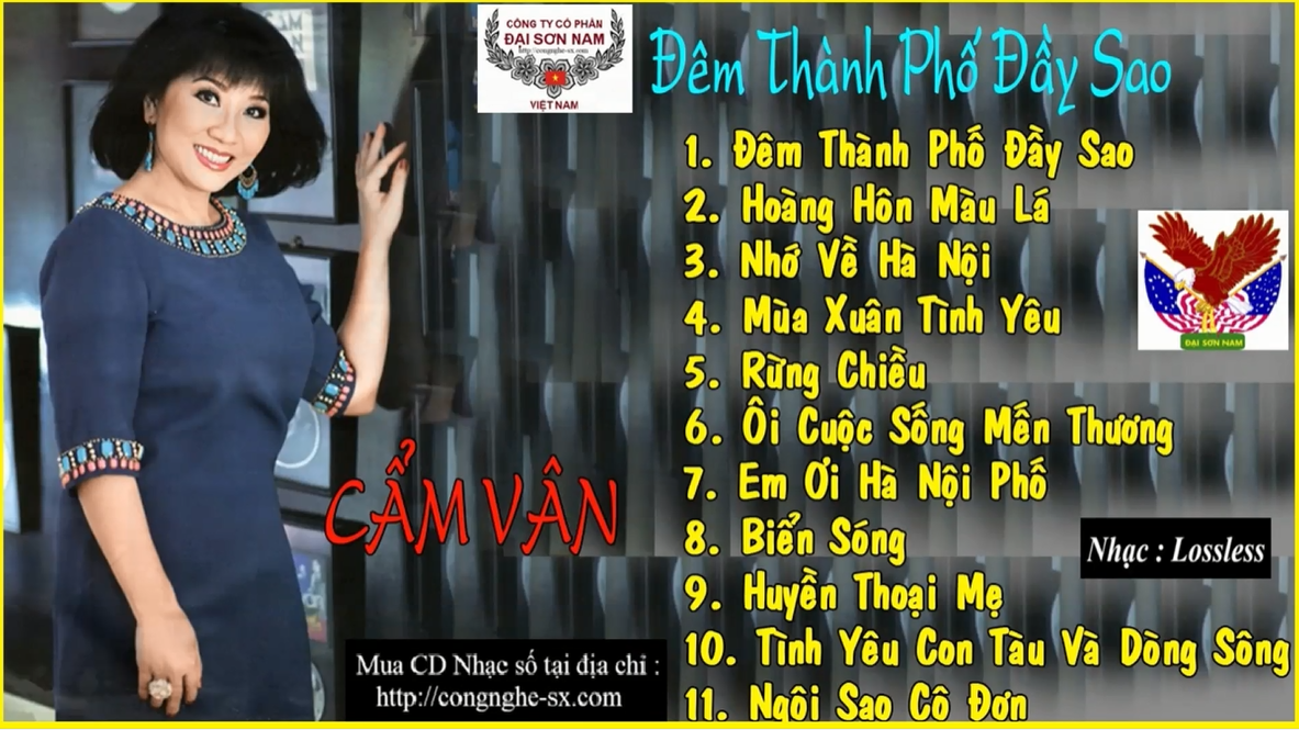 DEM THANH PHO DAY SAO