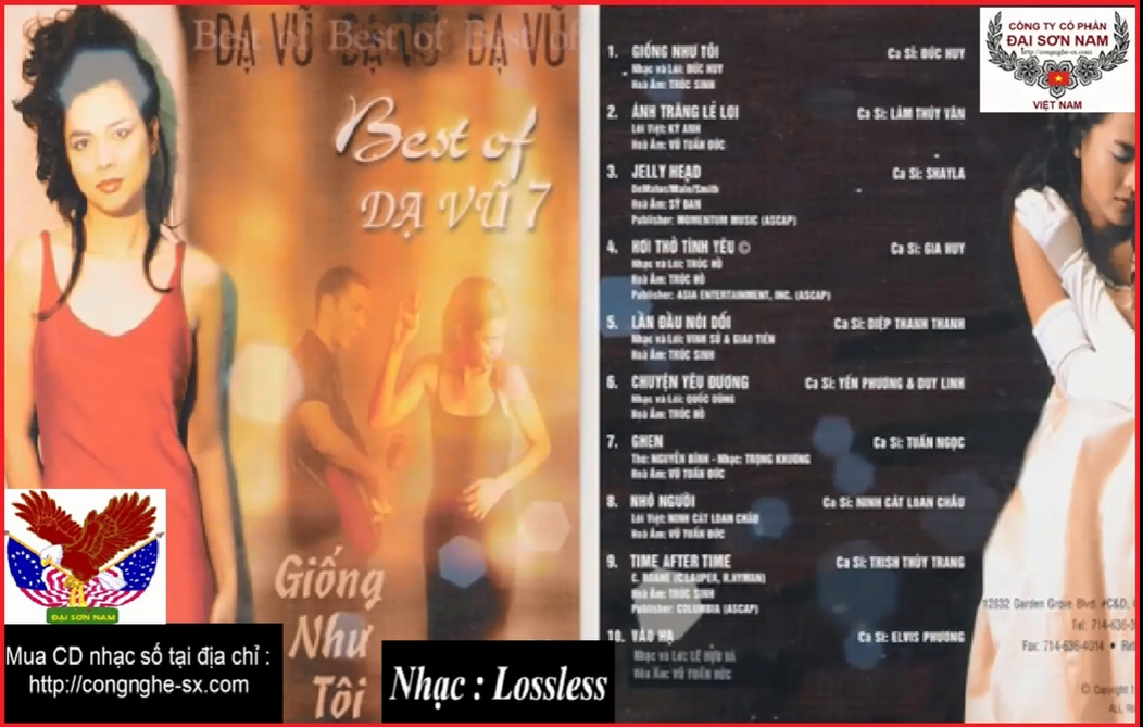 GIONG NHU TOI - DA VU7