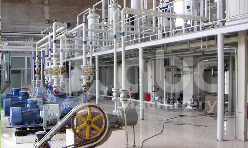 Vegetable Oil Plant - China